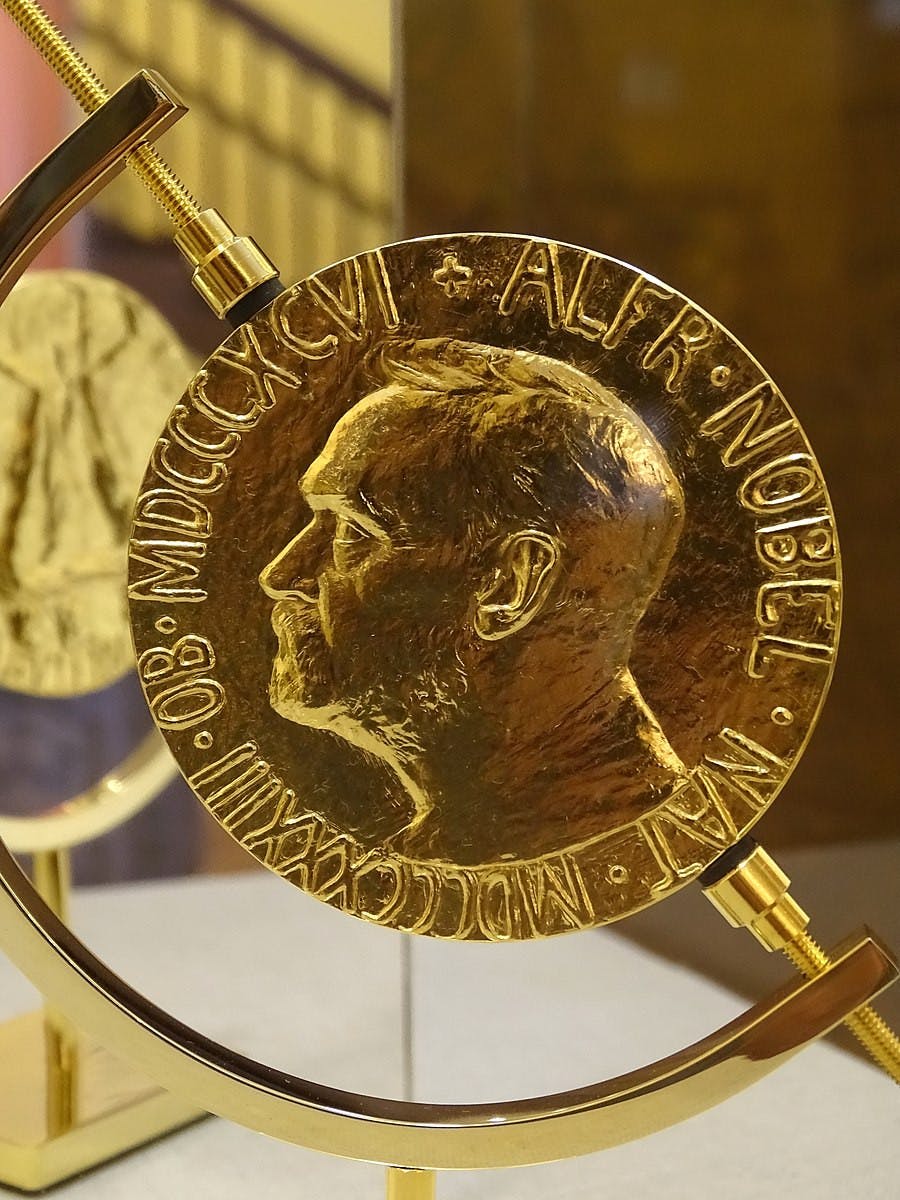 The theme of this week’s Good News Lion article is raising awareness (Photo courtesy of Wikimedia Commons / “President Jimmy Carter&#x27;s 2002 Nobel Peace Prize - Bronze Medal - At Visitor&#x27;s Center - Plains - Georgia - USA (34208881752)” by Adam Jones from Kelowna, BC, Canada. April 30, 2017). 
