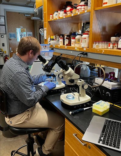 Nicholas Pieper looks under a microscope at Rider University during the 2025 fall semester. (Photo courtesy of Nicholas Pieper)