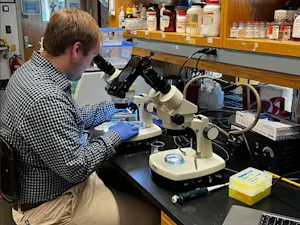 Nicholas Pieper looks under a microscope at Rider University during the 2025 fall semester. (Photo courtesy of Nicholas Pieper)