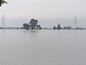 Locals and tourists became stranded in the Southern India, trapped in relief shelters following the massive flooding as a result of the heavy rainfall and bursting of the Indian Himalaya’s glacial lake (Photo courtesy of Wikimedia Commons/“Flood waters flooding the fields in Fatehabad District, Haryana, India, 2023” by Hemish. July 13, 2023). 