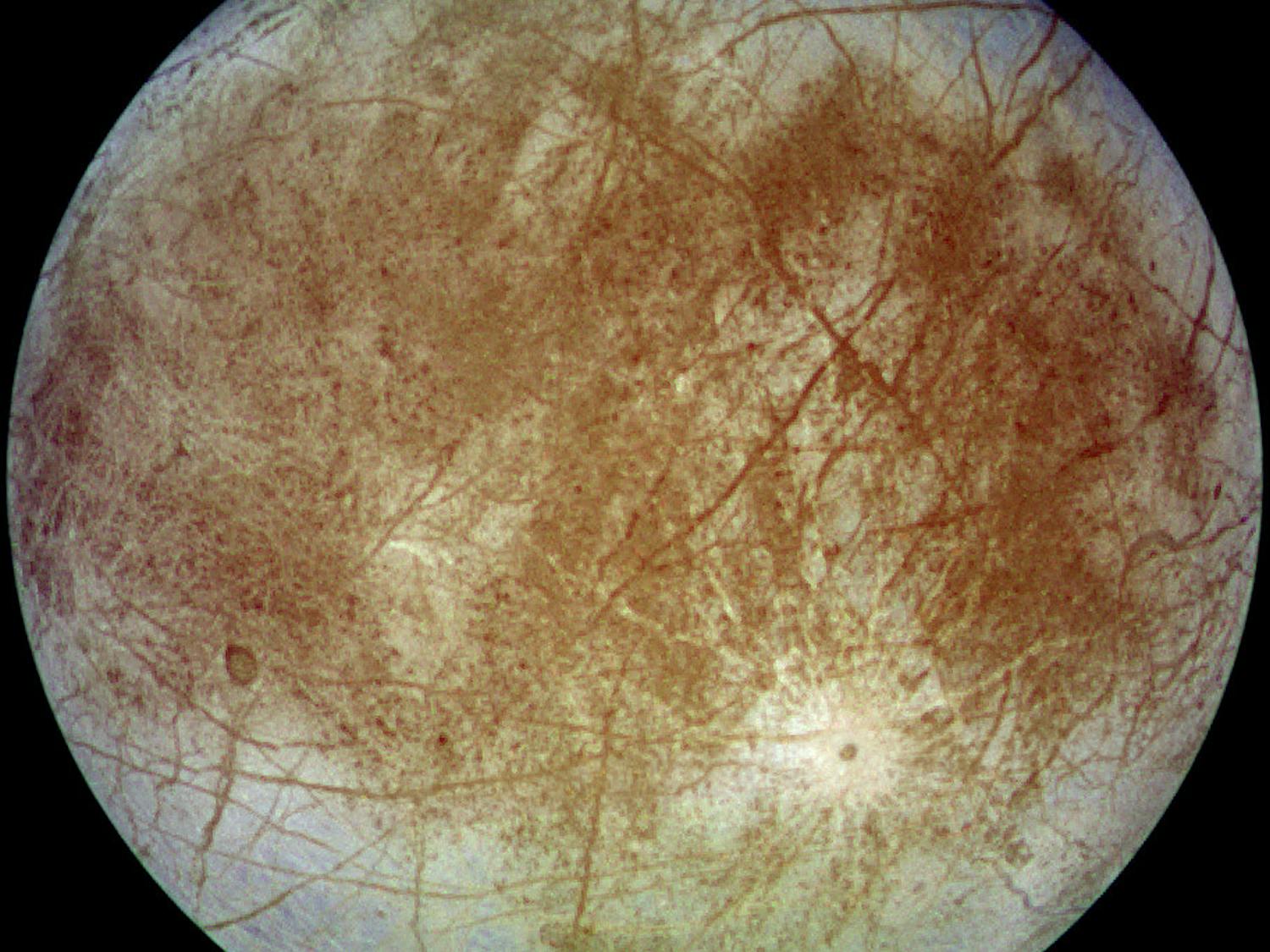 NASA’s Europa Clipper mission aims to ascertain whether its underground ocean is suitable for life (Photo courtesy of Wikimedia Commons / “Europa-moon” by NASA/JPL/DLR. September 7, 1996).