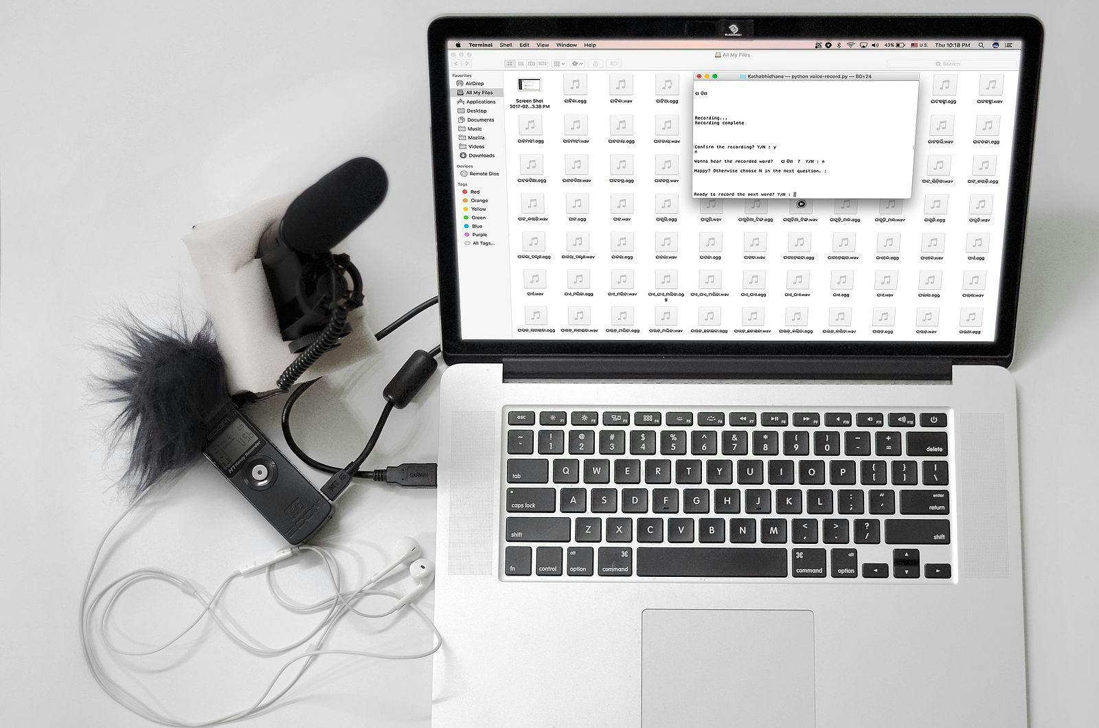 (Photo courtesy of Wikimedia Commons / By Subashish Panigrahi / Feb. 9, 2017)