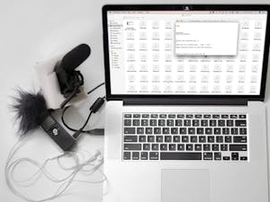 (Photo courtesy of Wikimedia Commons / By Subashish Panigrahi / Feb. 9, 2017)