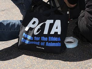 (Photo Courtesy of Wikimeda Commons / Rinaldi, Sept. 14 2012)