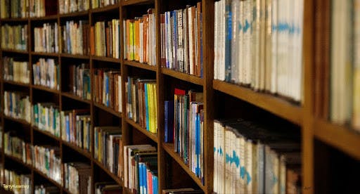 The book follows Violet Sorrengale, a young scribe, as she is forced to join the riders quadrant, a three-year war college (Photo courtesy of Flickr / Terry Kearney, 2015).