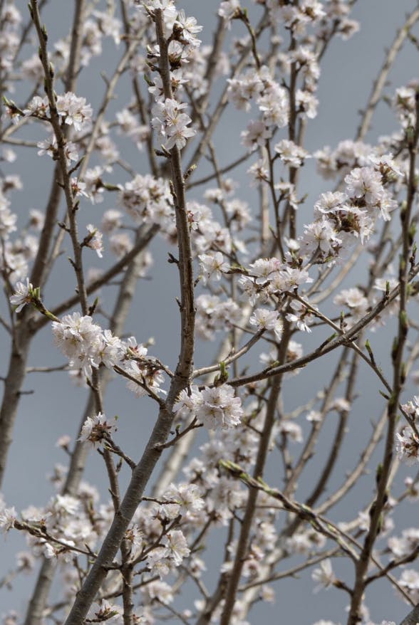 Take the spring season at the opportunity to lean into that youthful side (Photo courtesy of Kit Ackerman). 