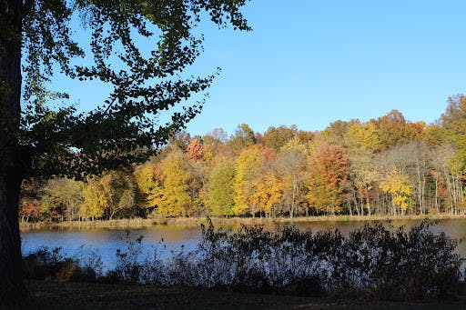 (Photo courtesy of Elizabeth Gladstone / Multimedia Coordinator).