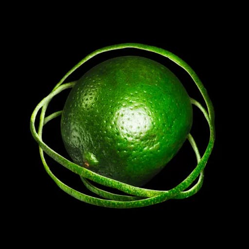 Big Thief’s new album cover represents the entanglement of the universe and terrestrial life. (Photo courtesy of Apple Music)