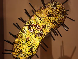 A cat in Oregon recently gave its owner the bubonic plague, causing concern among citizens and health officials (Photo courtesy of Flickr / Tim Evanson, May 27, 2012).