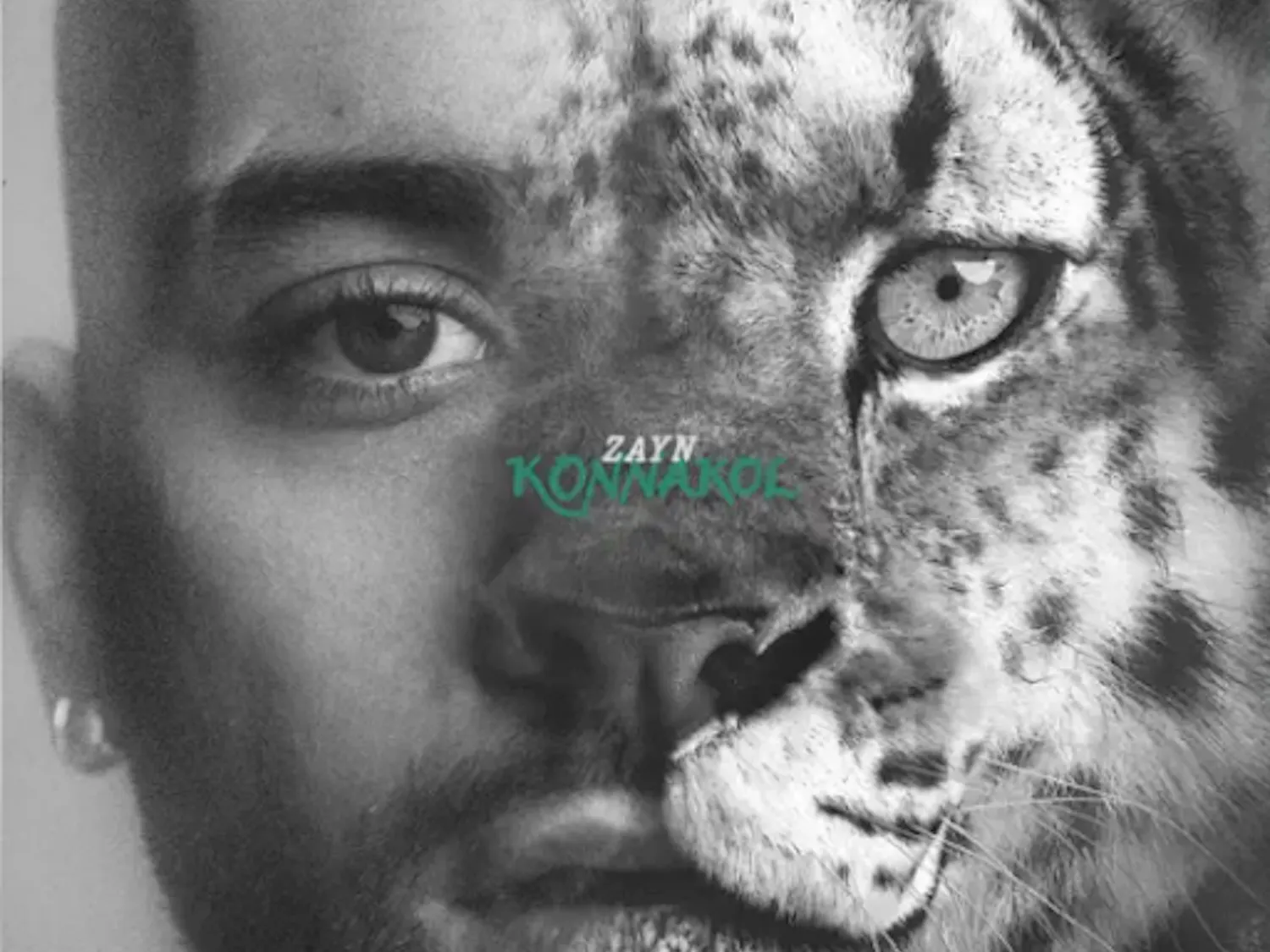 Cover for Zayn’s fifth studio album “KONNAKOL.”
