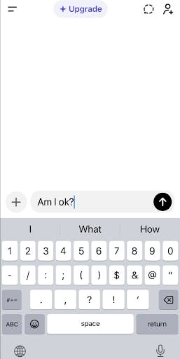 A college student asks “Am I ok?” to ChatGPT. (Photo courtesy of Isabella McHugh)