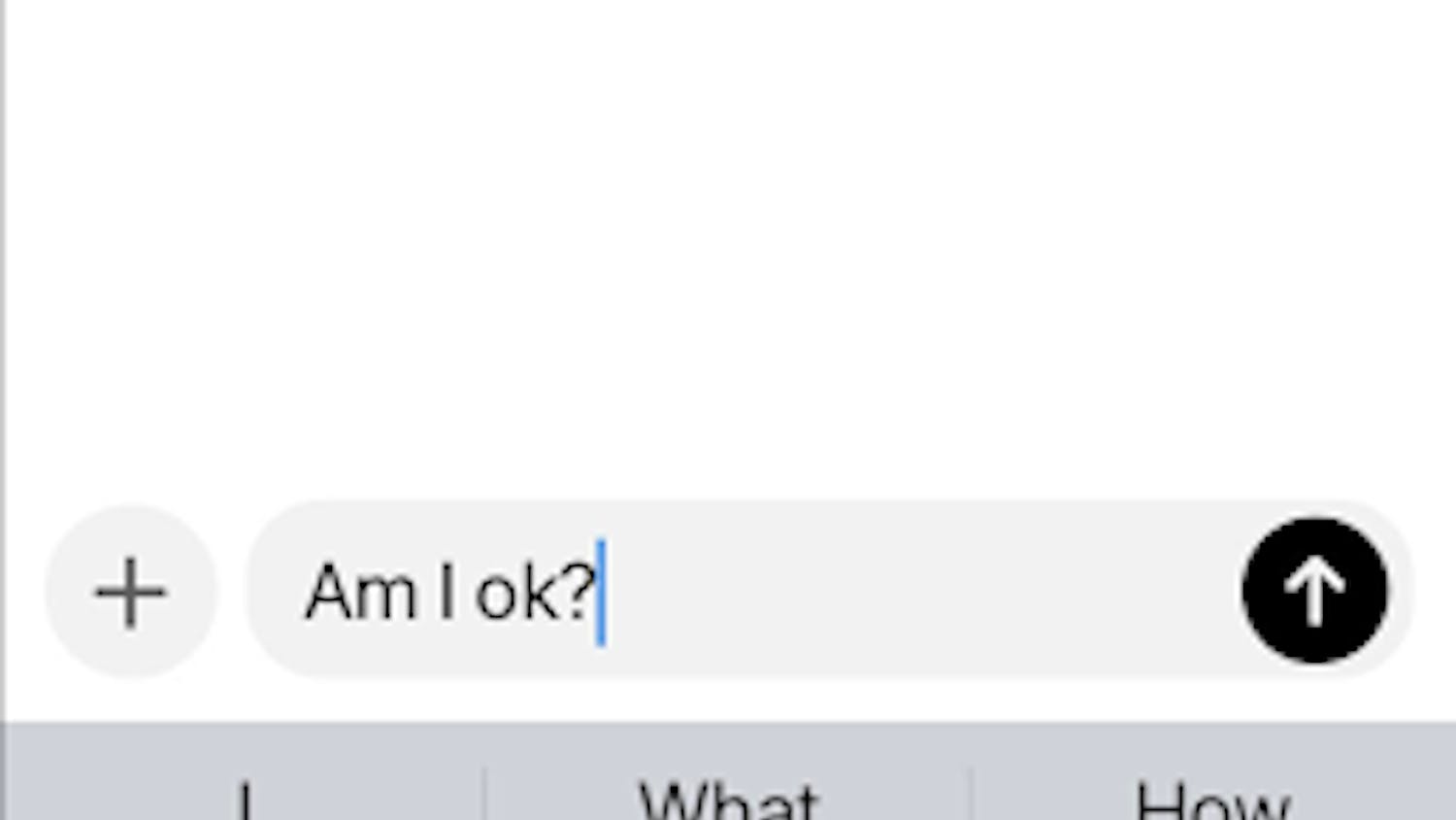 A college student asks “Am I ok?” to ChatGPT. (Photo courtesy of Isabella McHugh)