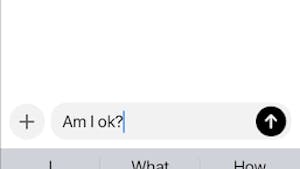 A college student asks “Am I ok?” to ChatGPT. (Photo courtesy of Isabella McHugh)