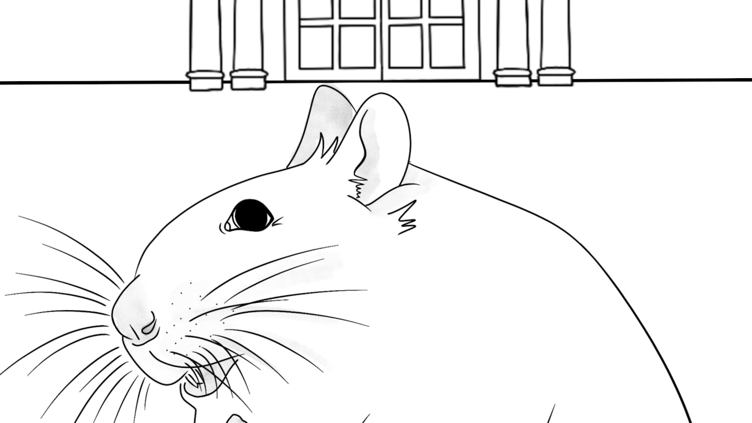 Mice continue to cohabitate with students in the College’s buildings. (Graphic by Sandra Abrantes)