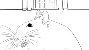 Mice continue to cohabitate with students in the College’s buildings. (Graphic by Sandra Abrantes)