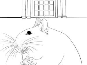 Mice continue to cohabitate with students in the College’s buildings. (Graphic by Sandra Abrantes)
