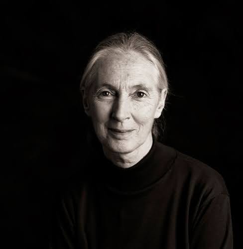 World renowned primatologist Jane Goodall has died at age 91. (Photo courtesy of IMDb)