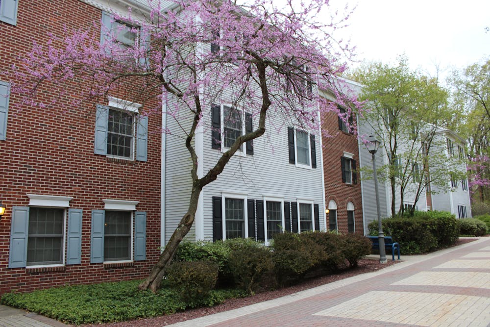 <p><em>Currently, many students in the CCS program live in one of eight houses located on Pennington Road and Carlton Avenue (Photo by Elizabeth Gladstone / Multimedia Coordinator).</em></p>