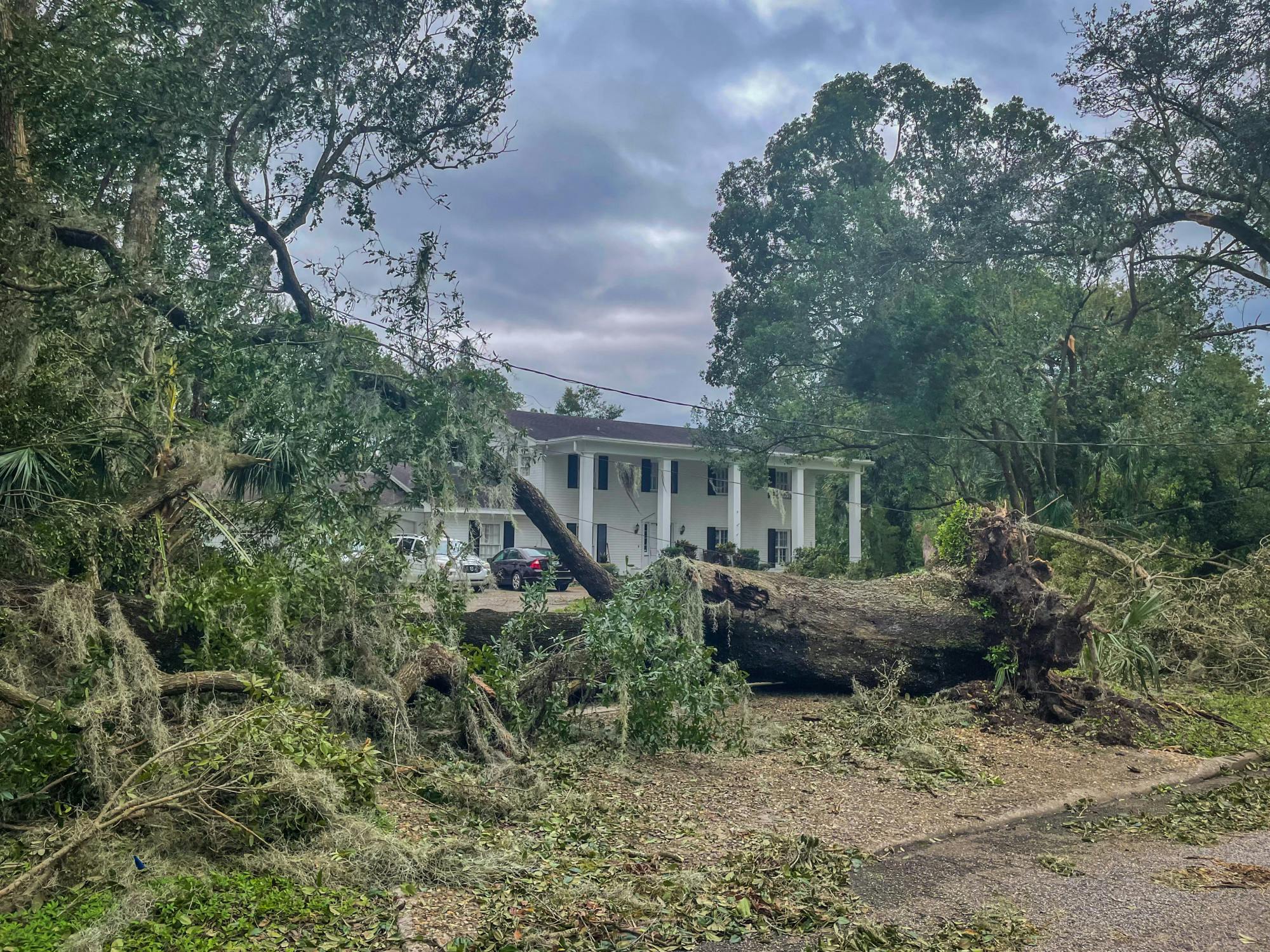 The Orlando Sentinel reports downed power lines, record floods and rainfall, fallen trees, closed roads and severe damages (Flickr/“Downed trees and power lines in Bartow, FL following Hurricane Ian” by State Farm. September 29, 2022). 