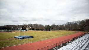 The Lions fought hard in the regional events. (Photo courtesy of Shane Gillespie)