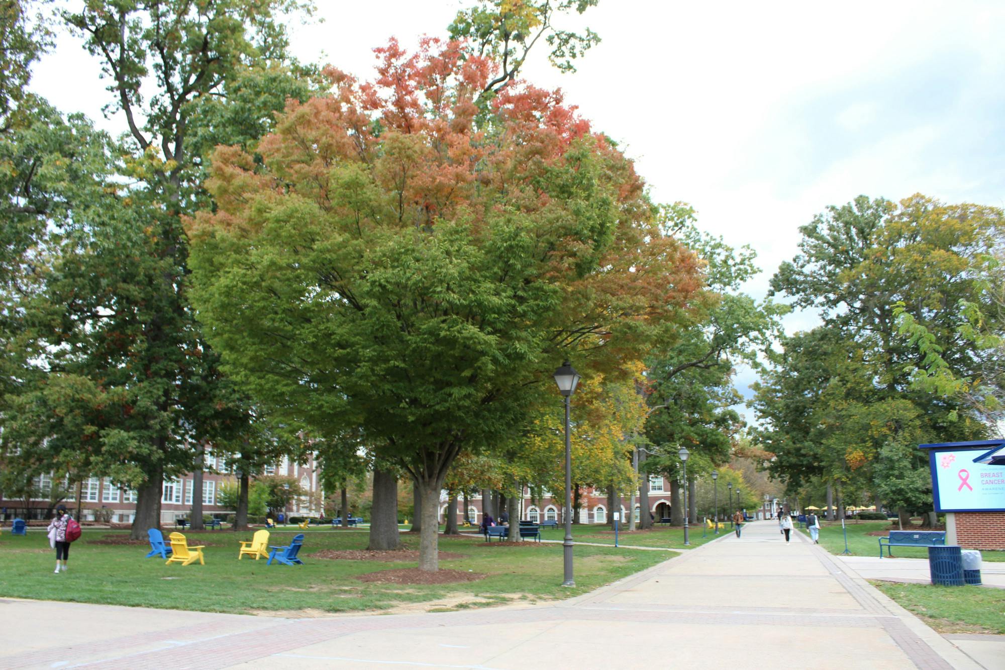 TCNJ has a decarbonization plan in place to reduce its emissions and bring the campus carbon footprint as close to zero as possible (Photo courtesy of Elizabeth Gladstone / Multimedia Coordinator).