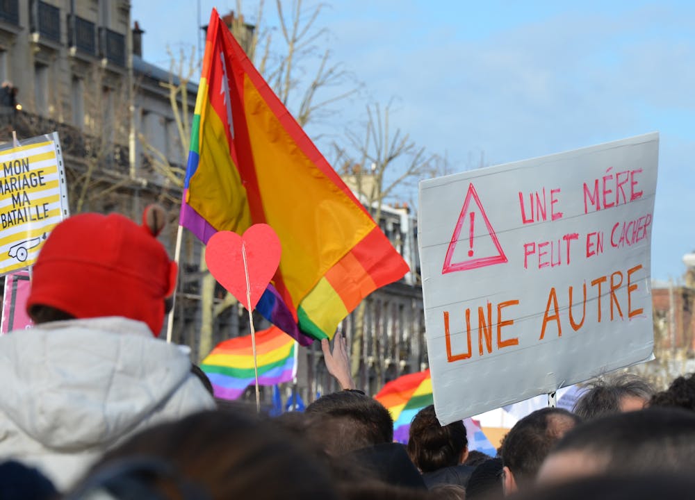 <p><em>Gay marriage has been federal law for almost 10 years now. (Photo courtesy of </em><a href="https://commons.wikimedia.org/wiki/File:Marriage_equality_demonstration_Paris_2013_01_27_03.jpg" target=""><em>Wikimedia Commons</em></a><em>)</em></p>