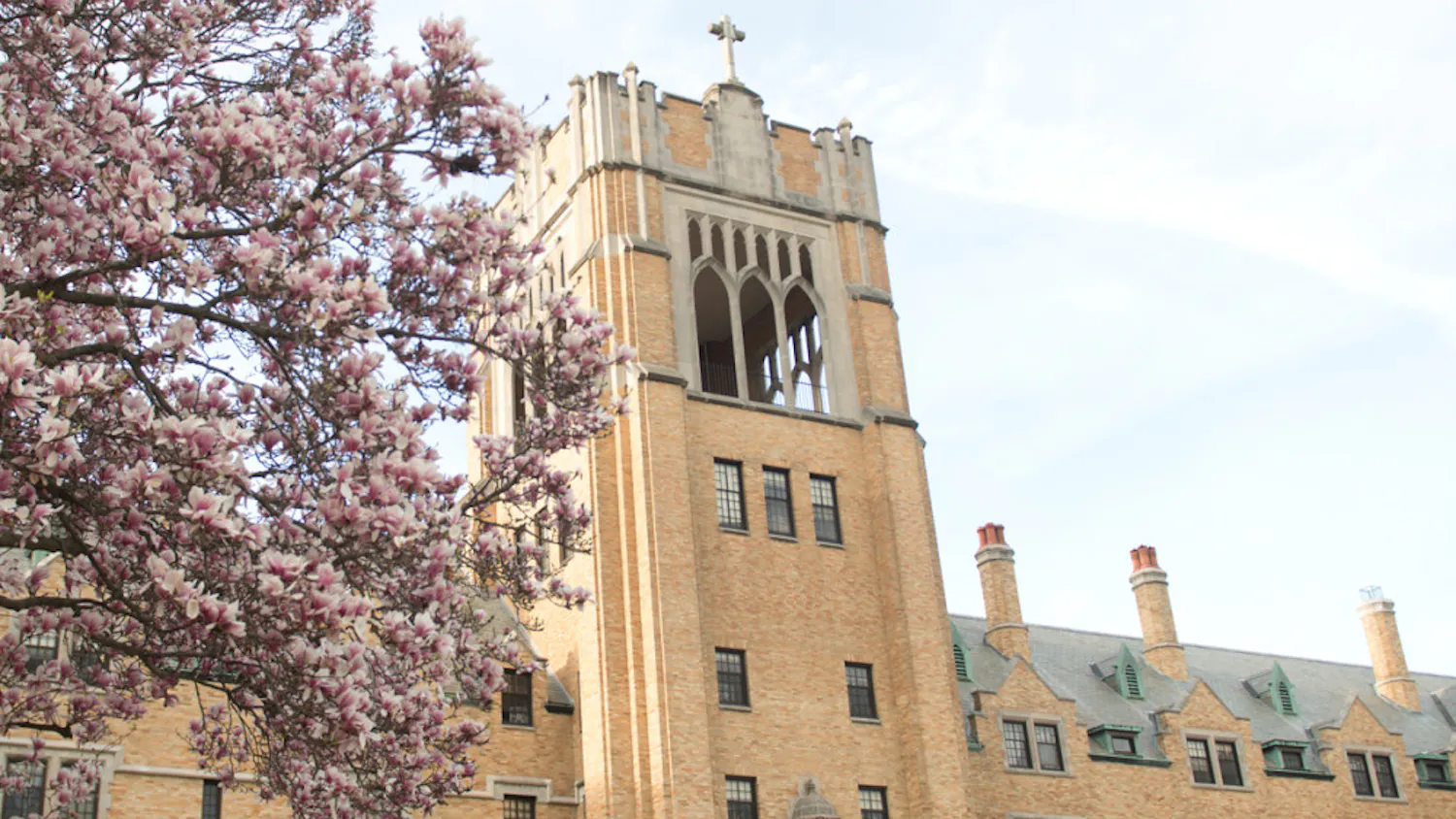 1565809297-11a3306edecb6e6