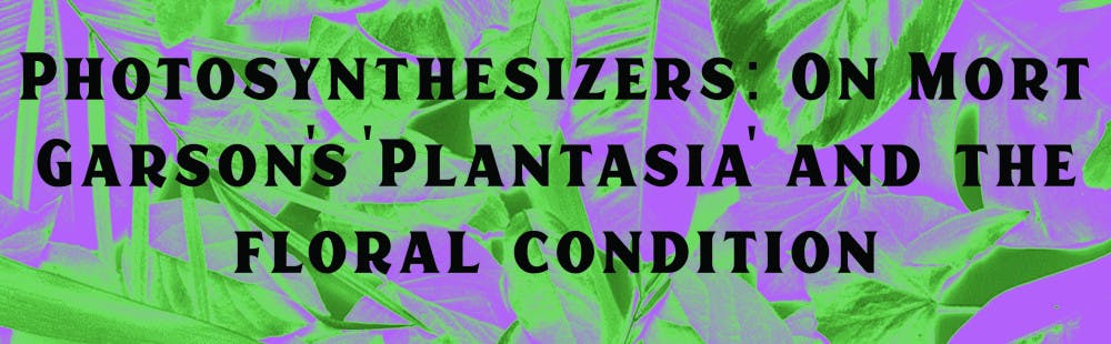 1553636440-fee81a3cc7b3e56