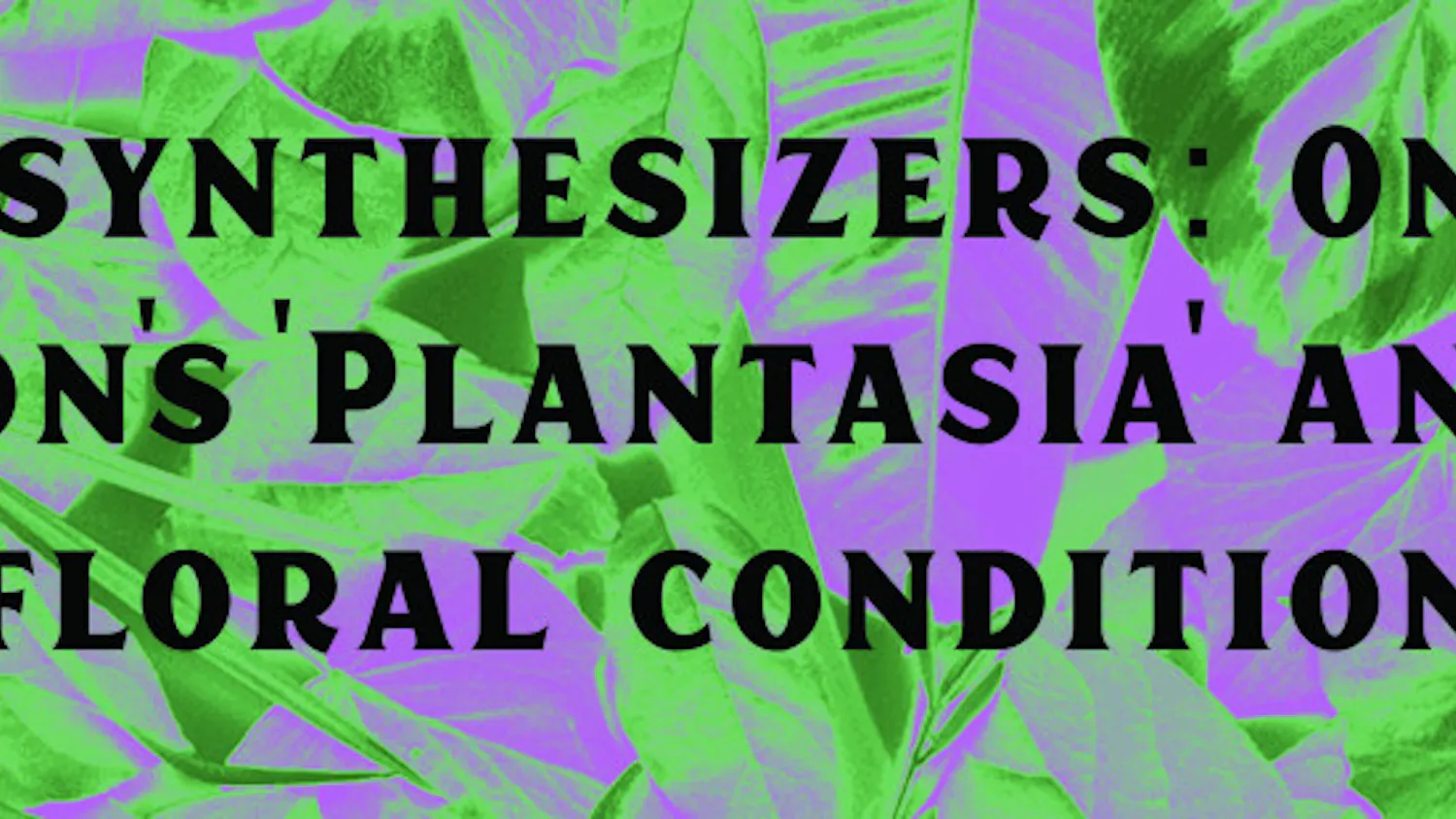 1553636440-fee81a3cc7b3e56