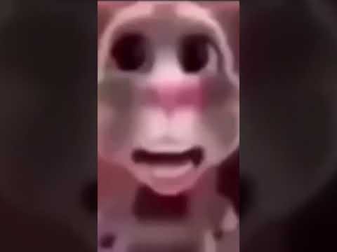 1675367057-cfcd208495d565e