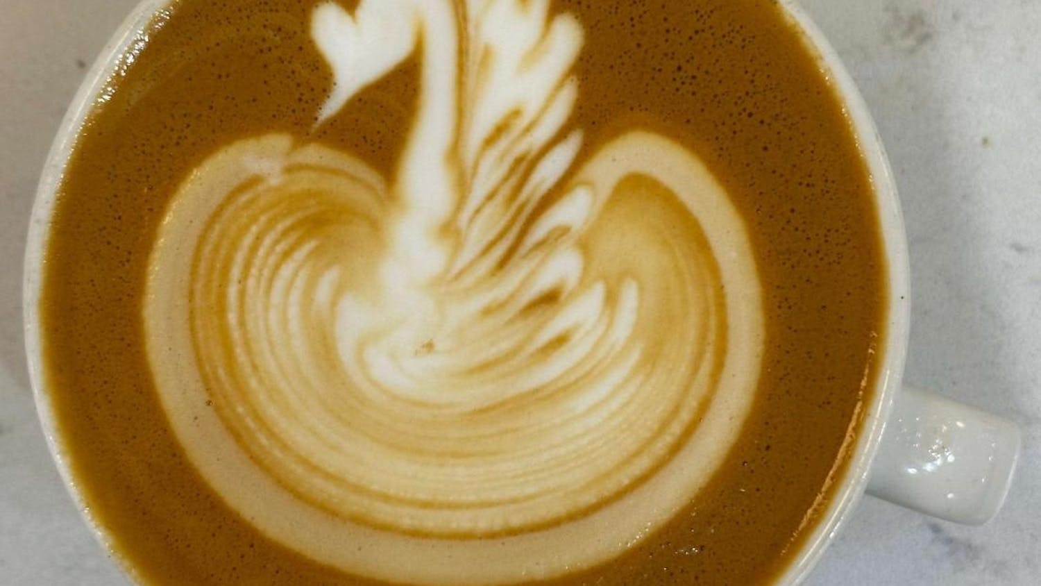 latte art - swan.jpg