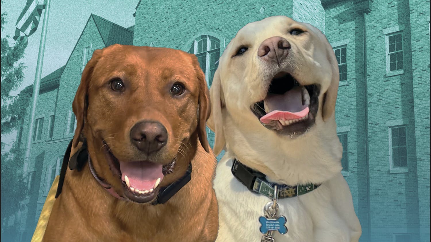 Screenshot 2025-10-02 at 9.16.13 PM.png