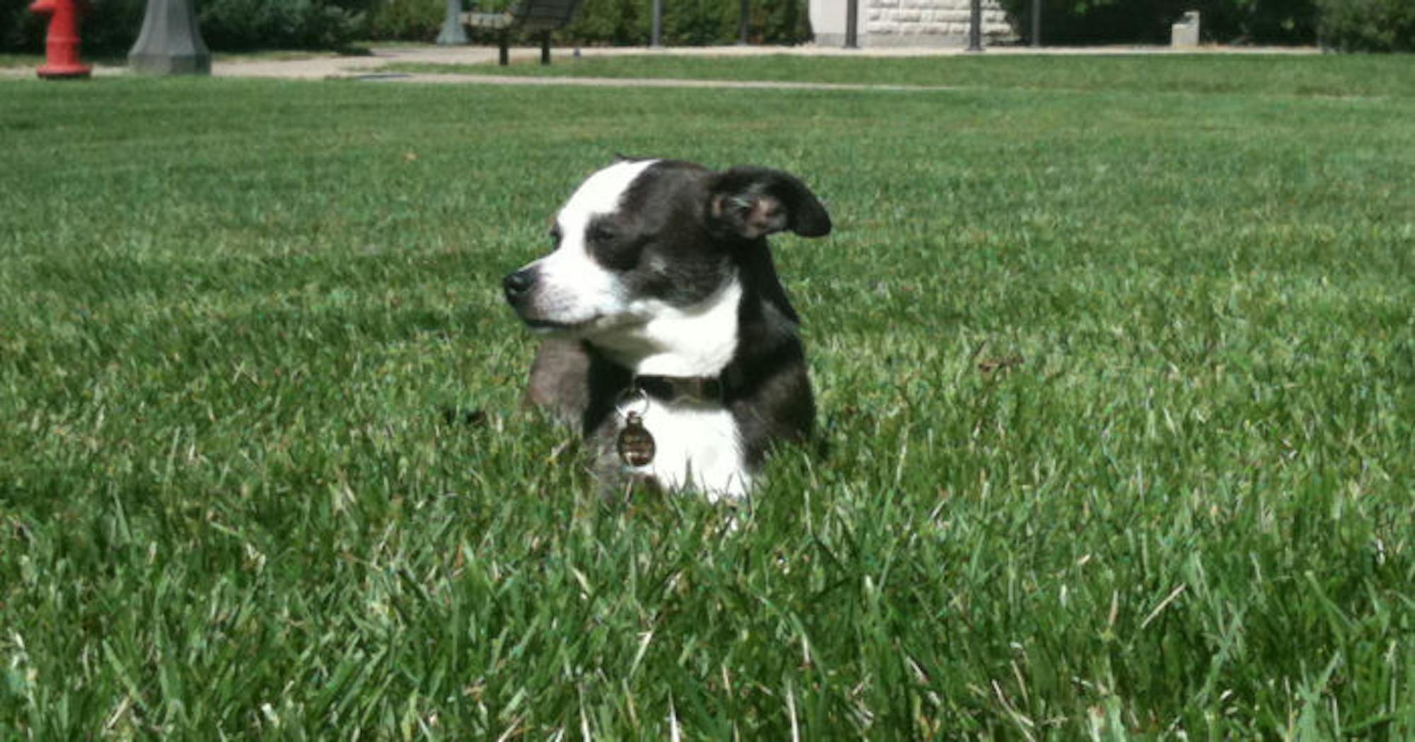 1572566645-ba2ae1c46cdcb0d-700x367