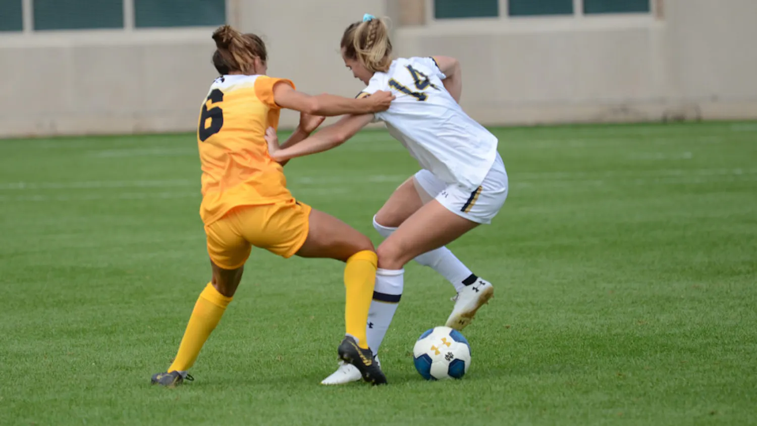 1604883600-e8c64b93a2cb464