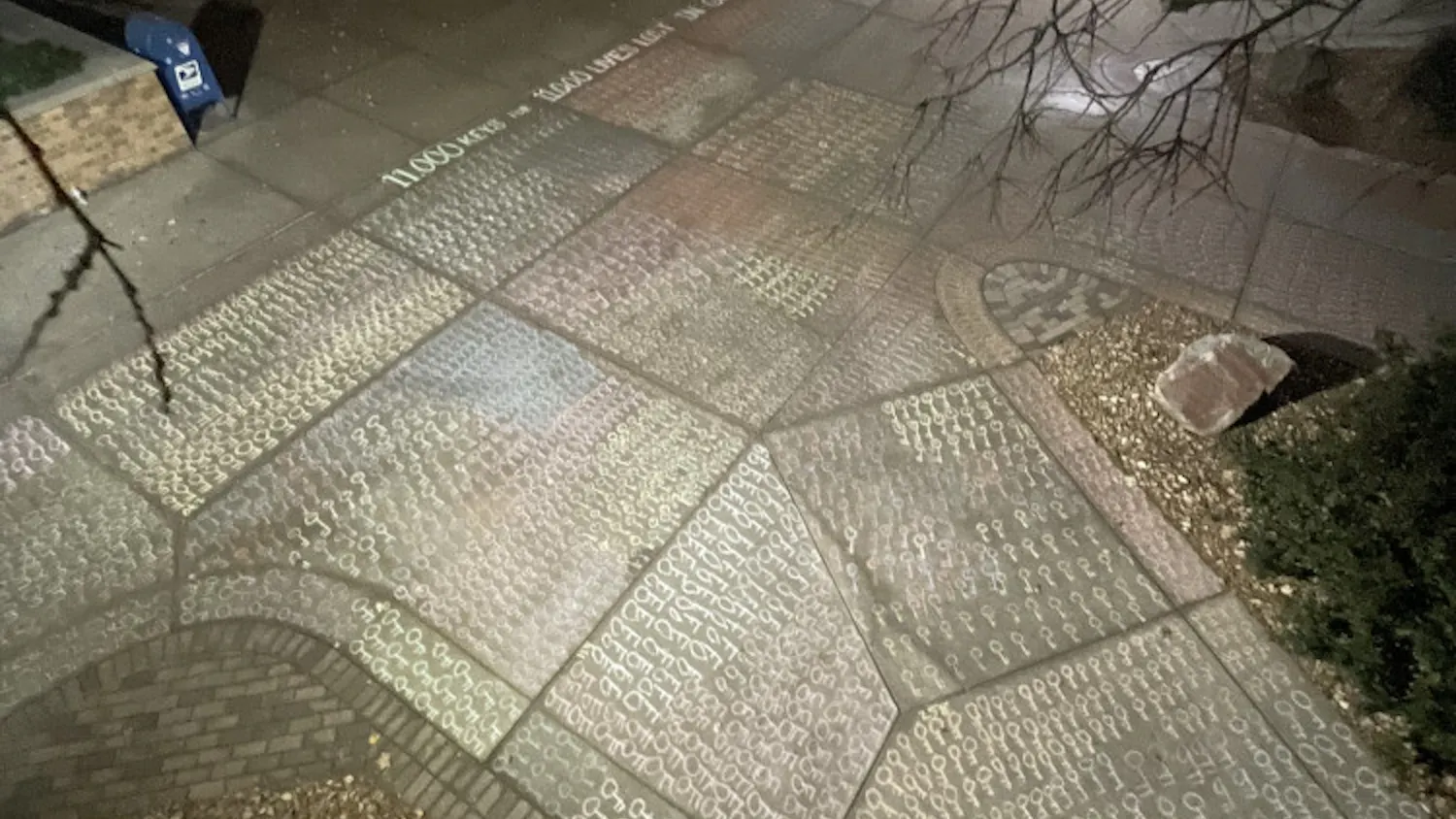 1700433570-8e07c9c7cf2b025