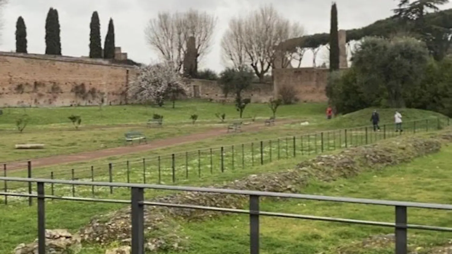 1583106062-4af52202f77beb1