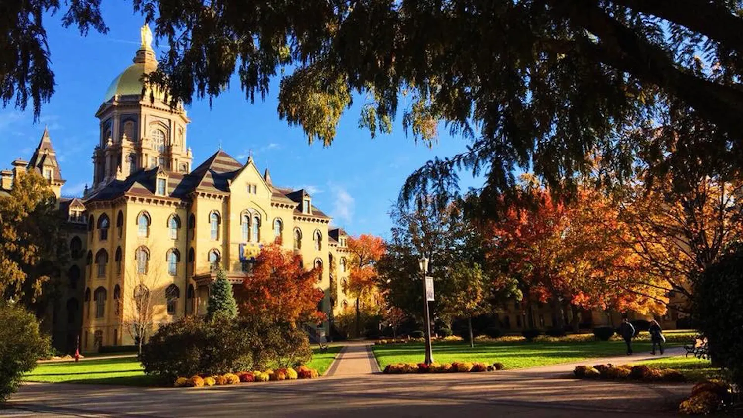 1584207784-f3d29236ccfbfc5