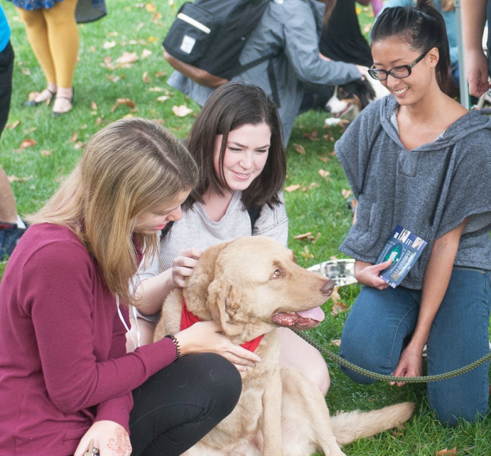 1507675181-ca702d03b41719e