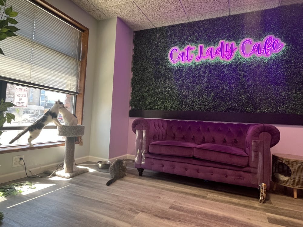 1681321281-1e97c98679efc34