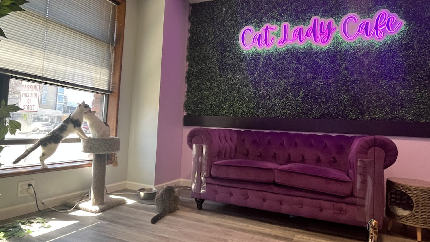 1681321281-1e97c98679efc34