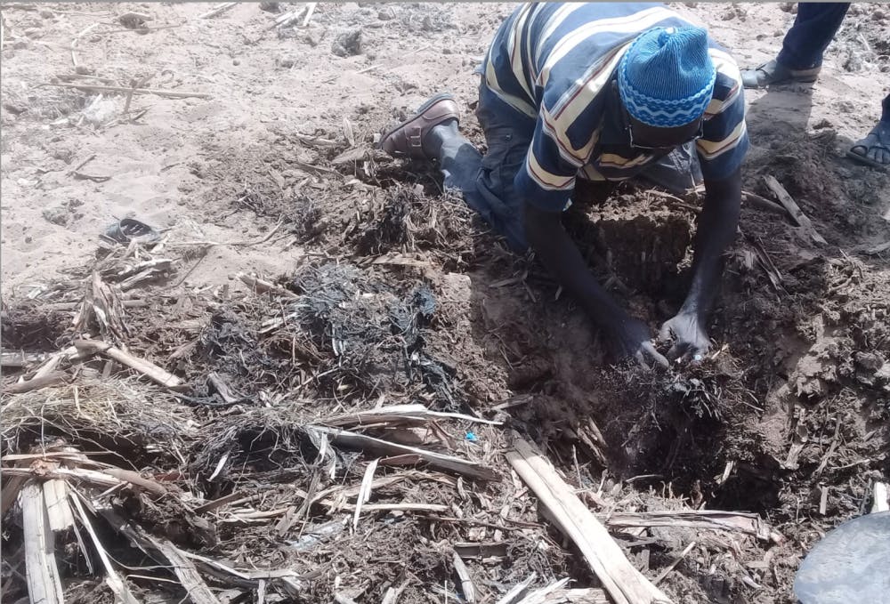 1616003721-a8288303221607b