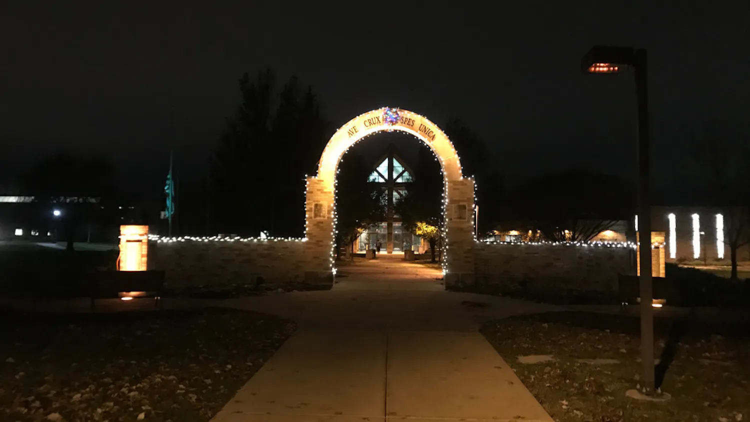 1593720096-962cf482cf46a91