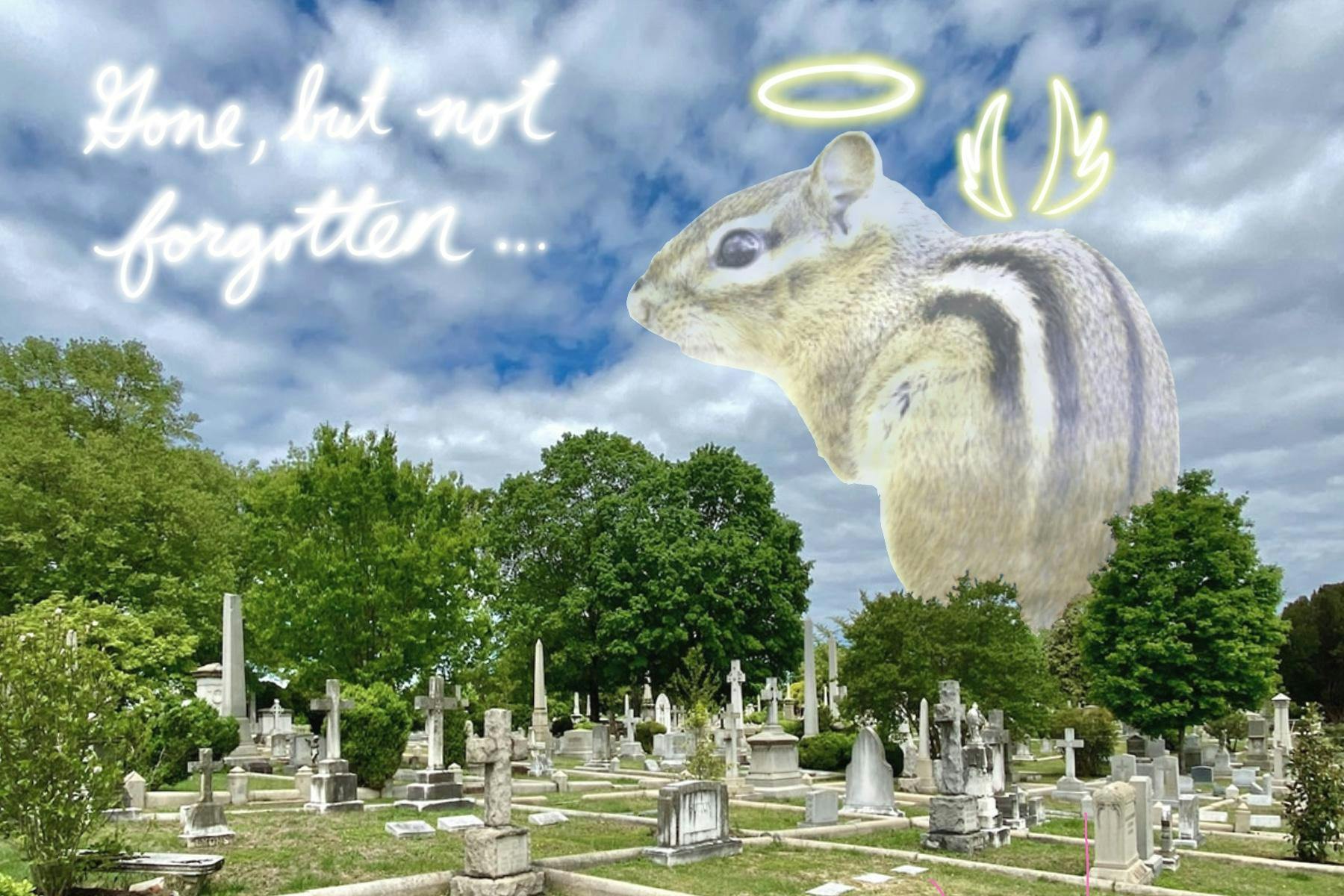 RIP Chipmunk Artwork