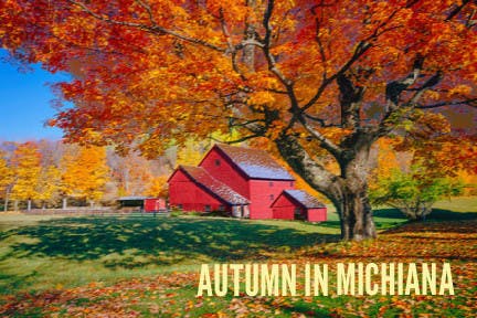 1695158498-ce808fda8bfffa2