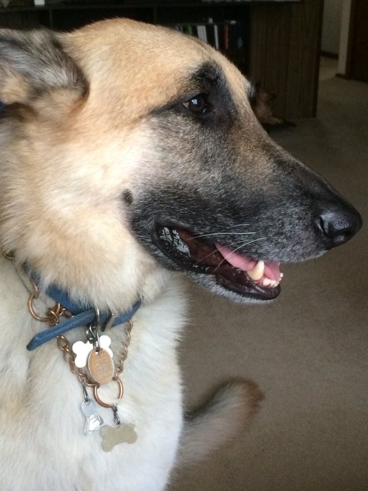 1616414073-63d14aa86f9128d