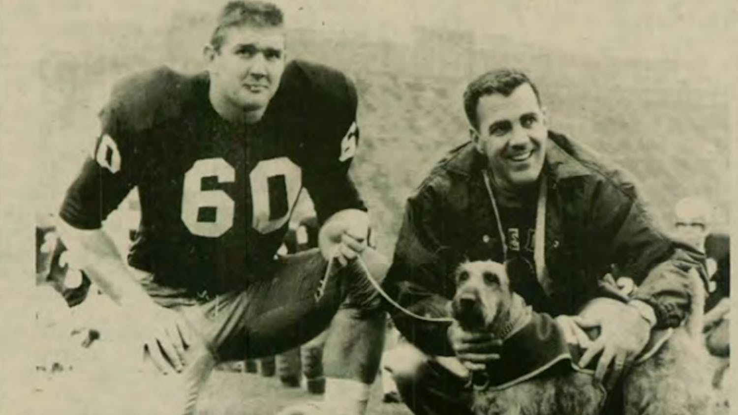 1644874363-4131becf8cbdea4