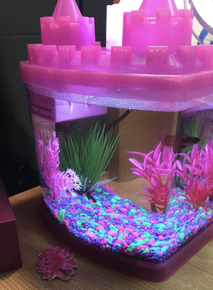 1585679931-4a3dc5eb644c601