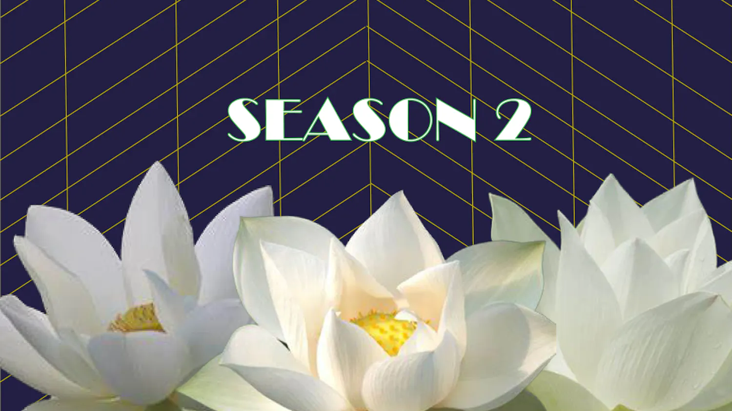 1679405620-d82b98e897165f8