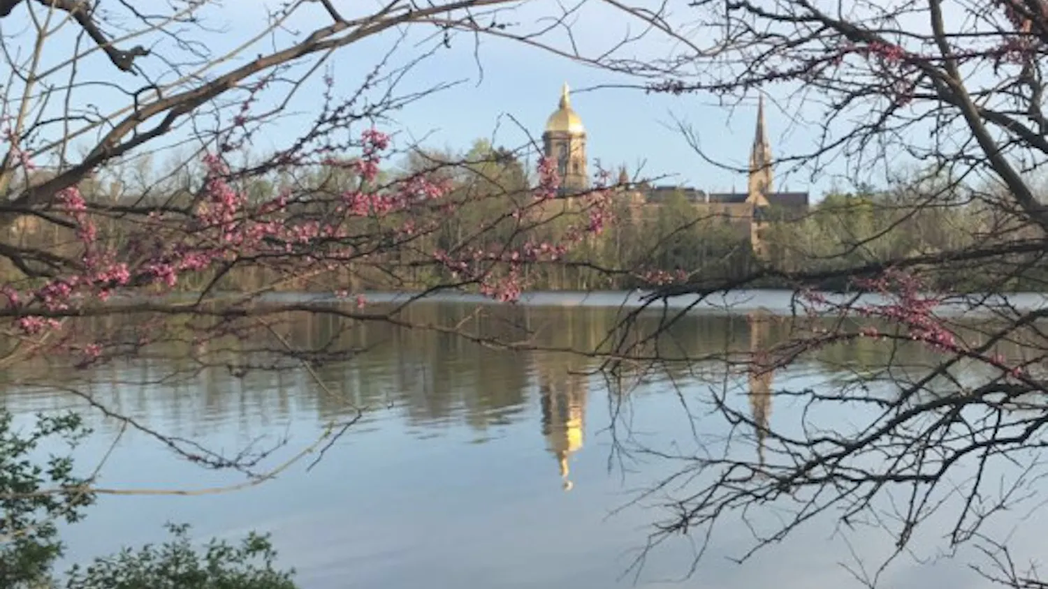 1588613112-d1f12d7ecc2ab9e