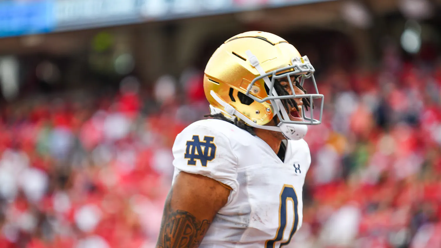 1694383248-d3b59403026e72a